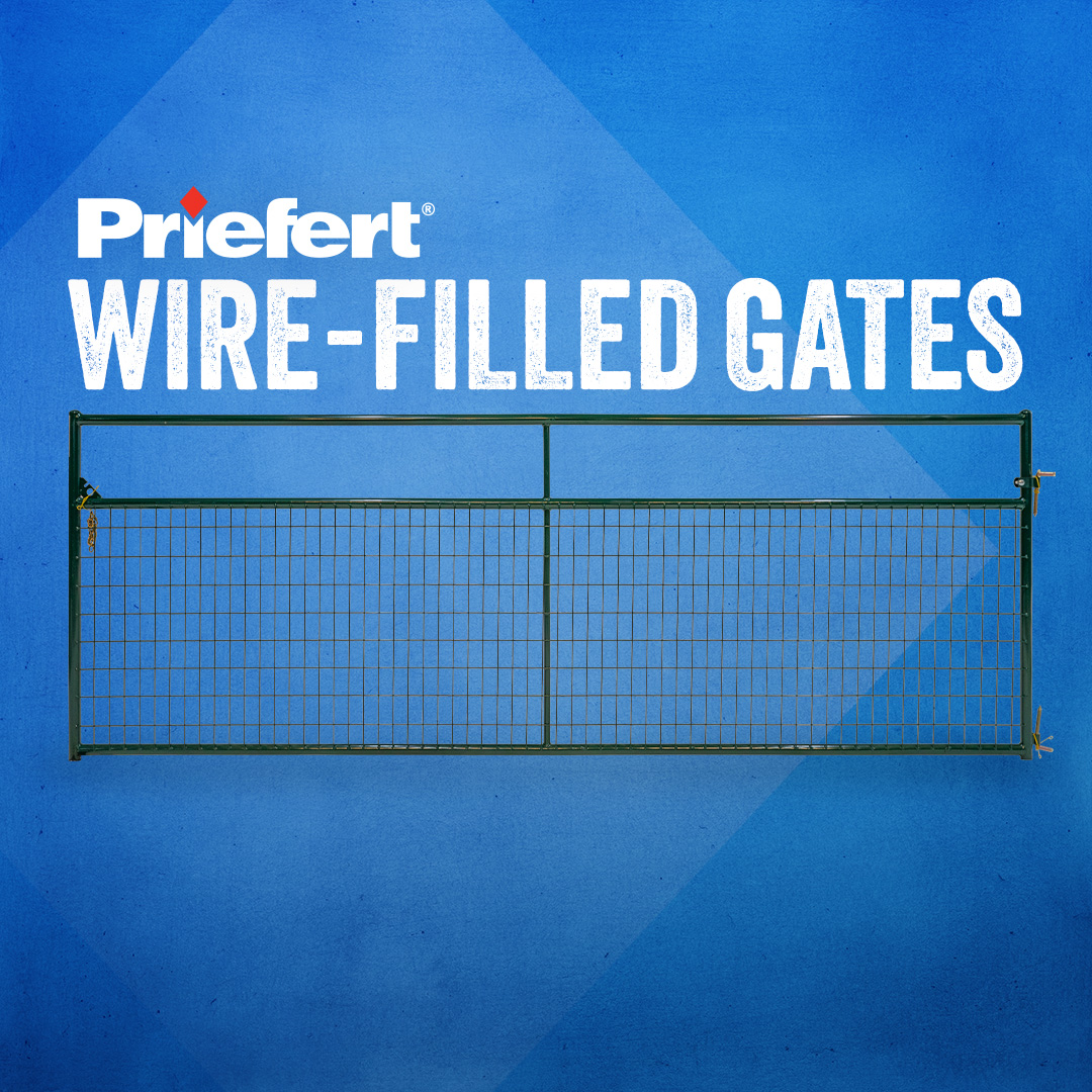 Wire FilledGates.jpg